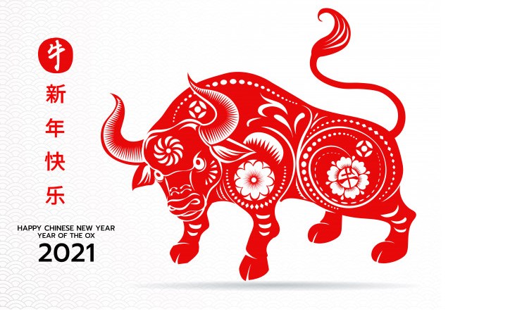 The Ox Happy Chinese New Year 2022: Date, Symbol, Messages, Quotes, Greetings & Songs