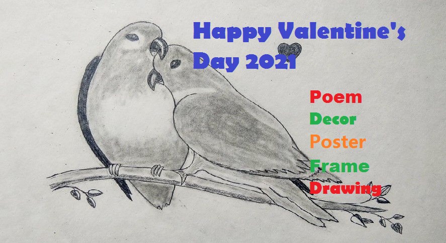 Happy Valentine’s Day 2022: Poem, Drawing, Decor, Color Code, Frame & Poster
