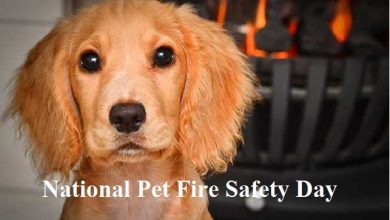 national pet fire safety day