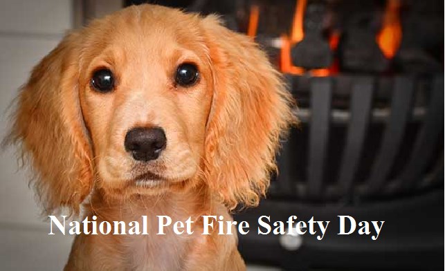 National Pet Fire Safety Day 2022- 15th July