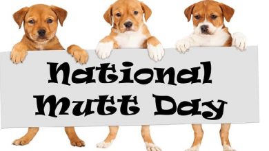 national mutt day