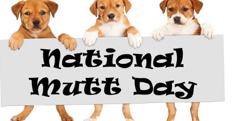 National Mutt Day 2021- Why USA Love to Celebrate National Mutt Day? - National  Day 2021