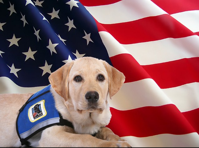 Pets for Veterans Day