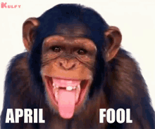april fools day prank GIF12