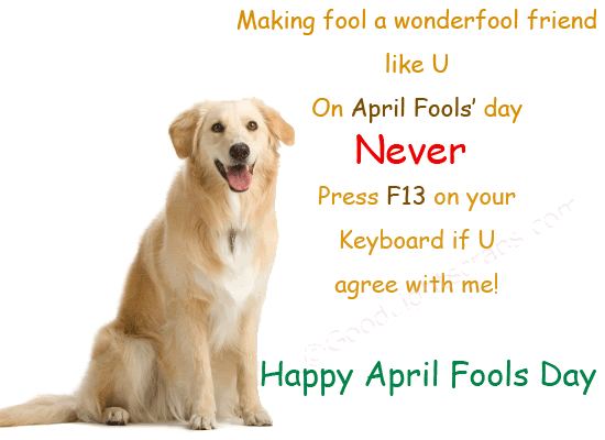 april fools day prank GIF8