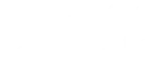 demo logo dark 0005